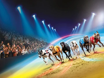 Laurels and Dunstall Dash