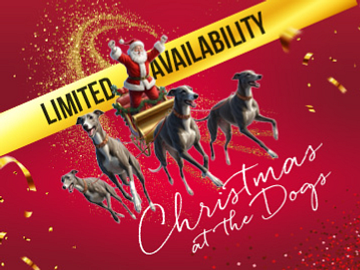 Christmas at the dogs