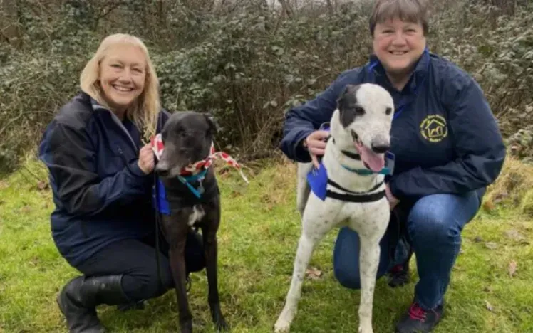 Perry Barr Stadium partners with Home Run Hounds!