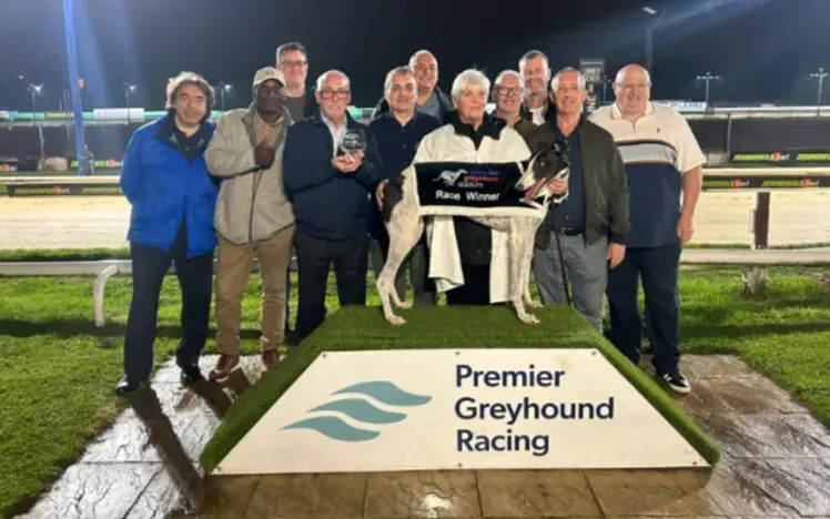 Droopys Clue steals the show on Premier Greyhound Racing St Leger opening night