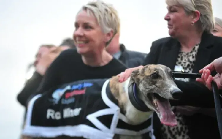 Woodburns eye more success with Rioja Maxi in Premier Greyhound Racing Oaks