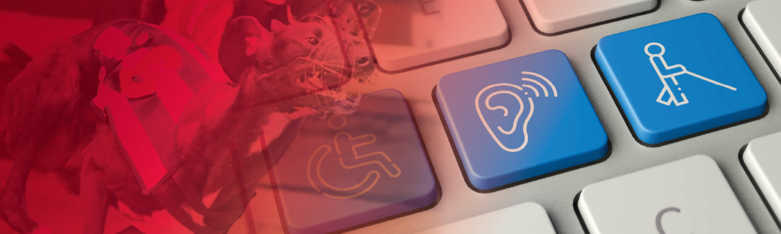 accessibility advise