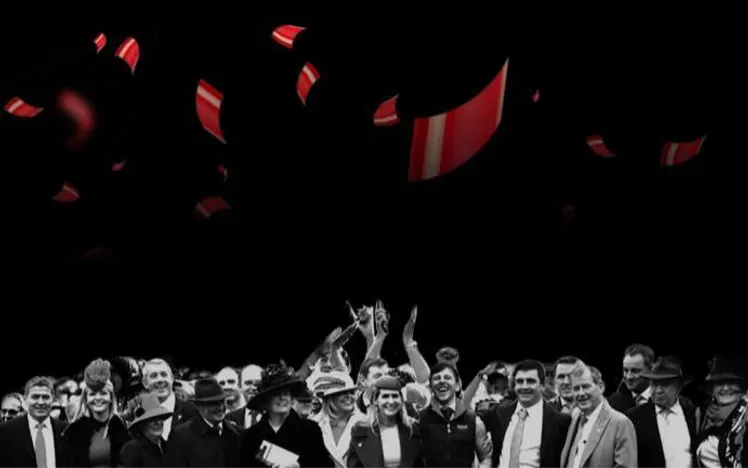 Black Friday Campaign Artwork