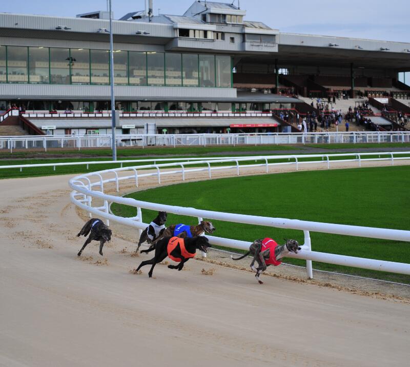 greyhound racing at dunstall park brand new stadium