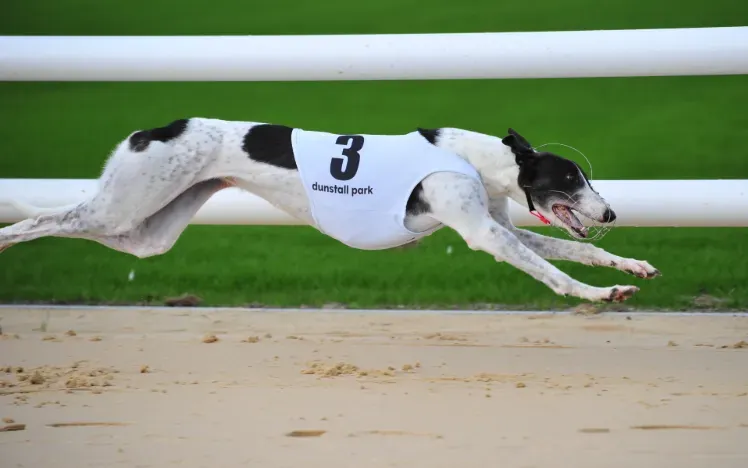 Droopys Kathleen